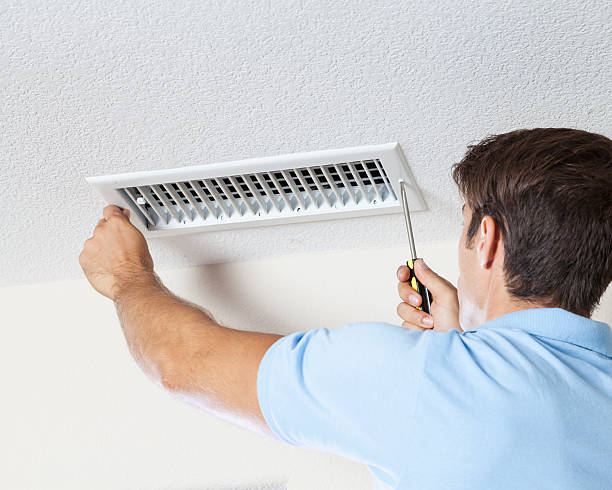 Best Water Damage & Mold Remediation  in Grissom Af, IN