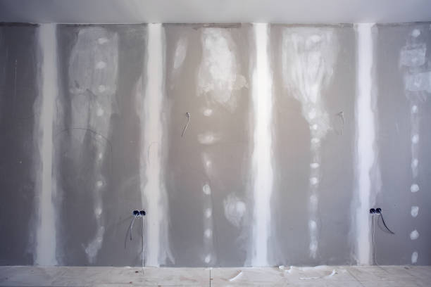 Best Emergency Mold Remediation  in Grissom Af, IN